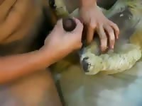 Gay Beast Com Fucks Female Dog Gay Zoo Porn Petlust Men Fuck Animals- Beastiality Sex With Men