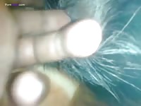 GayBeast Goat Pussy