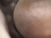 Gay Beast Com Great Mare Gay Zoo Porn Petlust Men Fuck Animals- boy Fucks Pet