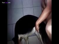GayBeast Rip Gsd Gives 1324 And Gets Fucked