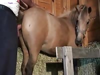 GayBeast Guy Fucks Super Hot Mare