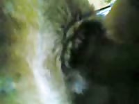 GayBeast Rip His Bitch His Wife Gay Zoo Porn Petlust Men Fuck Animals- boy Fucks Pet