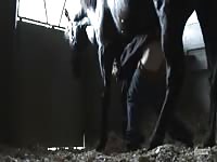 GayBeast.com Horse Fuck Gay Zoo Porn Petlust Men Fuck Animals- Animal Porn Tube With Boy