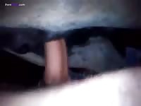 GayBeast Hot Mare