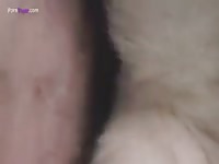 GayBeast.com Husky Fuck 2