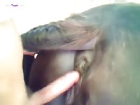 GayBeast I Fucked A Dog Named Maurice