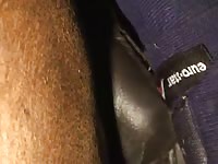 Gay Beast Com Jan S Mares 5 Gay Zoo Porn Petlust Men Fuck Animals- Man Fucks Pet