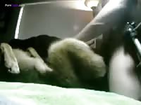 GayBeast Loving2