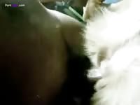 GayBeast Loving3