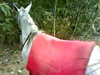 GayBeast.com Man And Mare 2