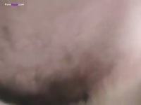 GayBeast Rip Man Banging Malamute