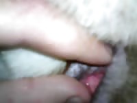 GayBeast.com Man Fingers Dog Gay Zoo Porn Petlust Men Fuck Animals- Zoophilia Men
