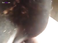 Gay Beast Com Man Fuck Cow