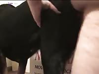 GayBeast Rip Man Fucks A Dog