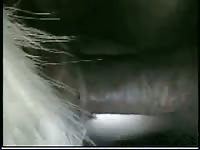 GayBeast Man With Goat 3 Gay Zoo Porn Petlust Men Fuck Animals- Man Fucks Animal