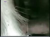 GayBeast Rip Man With Goat 3