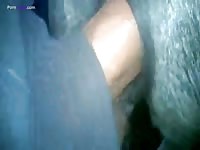 GayBeast.com Mare Fuck 2