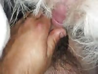 GayBeast Me And My Dog Gay Zoo Porn Petlust Men Fuck Animals- Beastiality Men