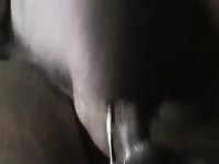 GayBeast.com Me And My Love 2 Gay Zoo Porn Petlust Men Fuck Animals- Beastiality Men