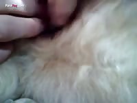 GayBeast Rip Men And Animals 1310 2795 - Dude Fucks Pet