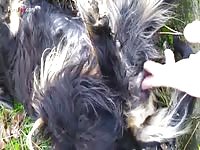 Gay Beast Com Men And Animals 1310 Fingered - Men Fucks Pet