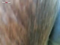 Gay Beast Com Men And Animals 2102 Minimare - Man Fucks Animal