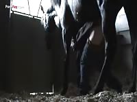 GayBeast Rip Men And Animals 2104 1795 - Animal Boy