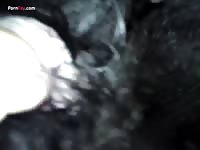 Gay Beast Com Men And Animals 2795play - Animal Porn Tube With Boy