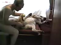 GayBeast Rip Men And Animals 2919 - Animal Sex Video With Men
