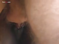 GayBeast.com Men And Animals A Good Old Fashioned Mare 1795 - Men Fucks Animal