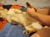 GayBeast Rip Men And Animals Blond 1310 - Zoophilia Man