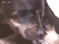 GayBeast Rip Men And Animals C2829y - Bestiality Porn Tube With Men
