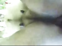GayBeast Rip Men And Animals Delicious Mule - boy Fucks Pet