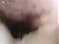 GayBeast Men And Animals Fem Malamute - Man Fucks Animal