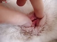 GayBeast Men And Animals Female Husky 2416 1 - Bestiality Men