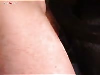 GayBeast Rip Men And Animals Guy 1795s G Dane 1310 - Men Fucks Animal