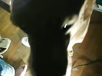11111 Gay Zoo Porn Petlust Bestiality- Man Fucks Pet