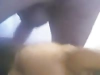 16 17 18 19 B