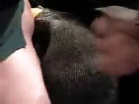3 Some GayBeast - Man Fucks Pet