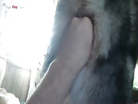 5 Finger Anal Fisting Husky- Zoophilia Men