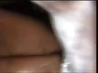 A Good Sex Night With My Mare GayBeast - Man Fucks Pet