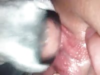 Afternoon Fun Petsex Com - Animal Dude