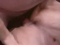 Air Man Bitch1 GayBeast Rip - Zoophilia Sex With Man