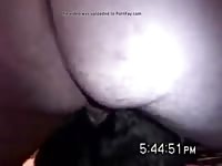 Akita Anal 2 GayBeast - Bestiality Men