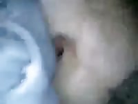 Aliviando As Tensoes GayBeast Rip - Zoophilia Sex With Boy