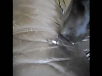 Aluzky Cumshot Compilation