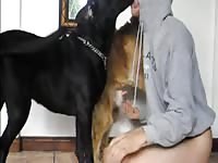 Aluzky Hcock Llab Threesome Fun
