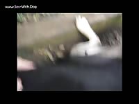 Aluzky Petting 1 Aluzky Home Made Videos Dog Lover German Shepherd- Animal Boy