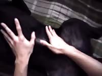 Aluzky Petting His Boyfriend And Cumming For Him Gay Beast Com - Animal Dude