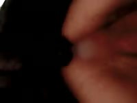 Aluzky Slowmo Knot And Pullout Gay Beast Com - Zoophilia Sex Video With Men